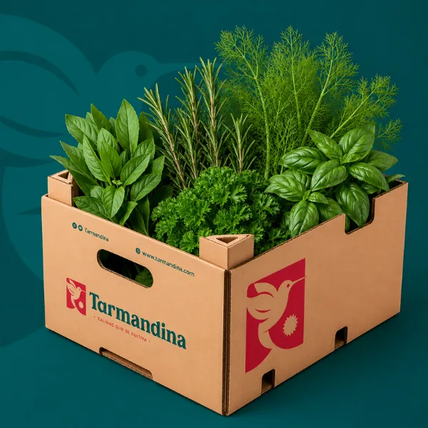 Hierbas aromaticas