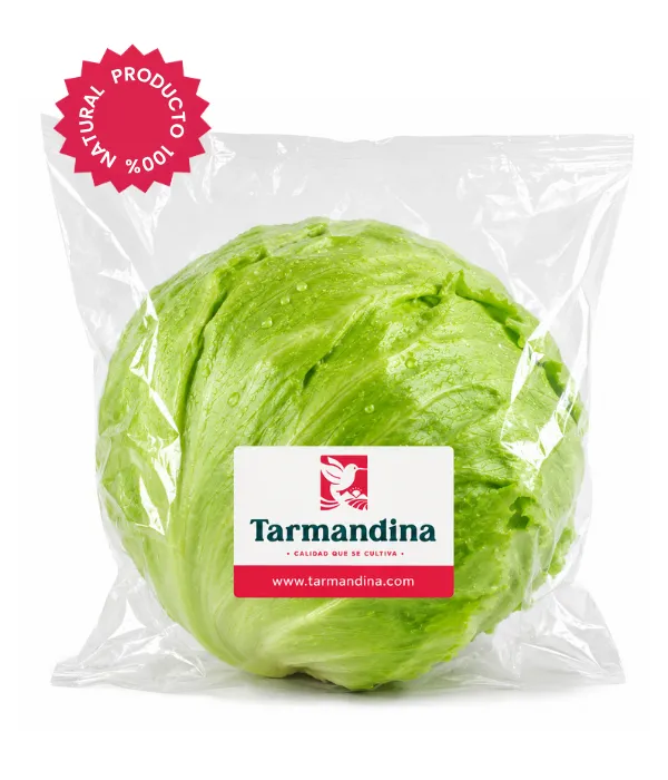 Lechuga americana